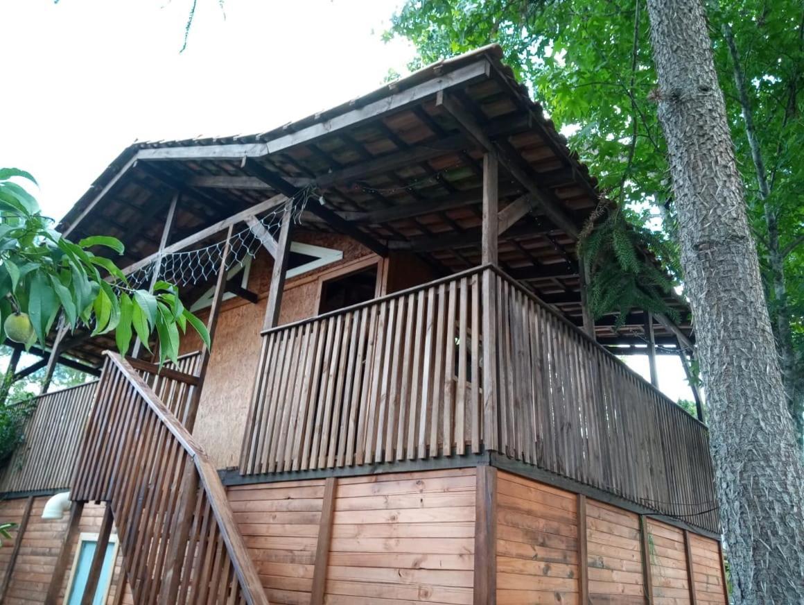 Hotel Mini House Park Campo Alegre  Exteriér fotografie