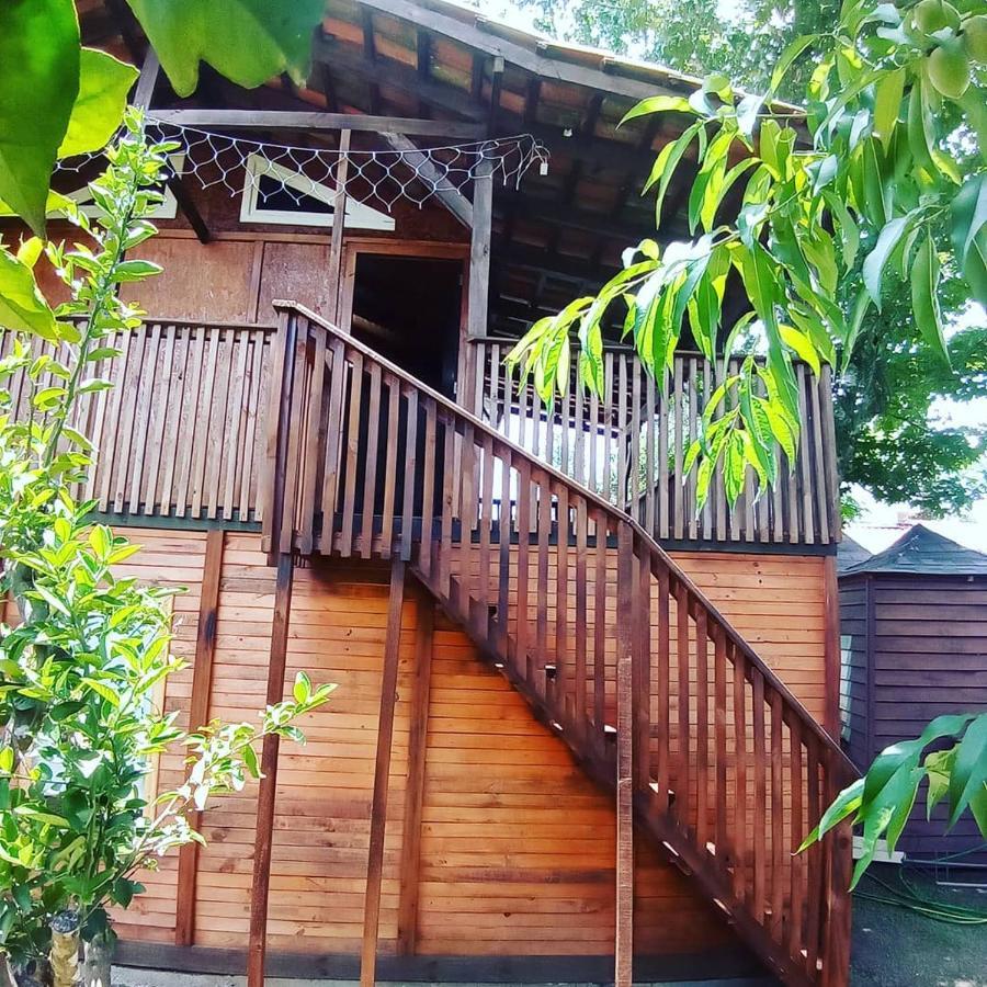 Hotel Mini House Park Campo Alegre  Exteriér fotografie